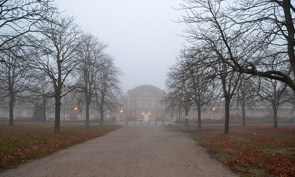 Herbstliche Stimmung am Morgen des 12. Herbsttreffens